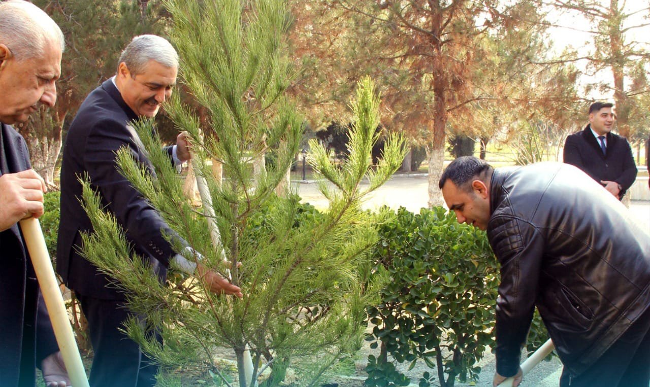 “Yaşıl Dünya Naminə Azərbaycan Səhiyyə İşçiləri Həmkarlar İttifaqının” strategiyasının davamı olaraq növbəti tədbir – ağacəkmə aksiyası həyata keçirilib