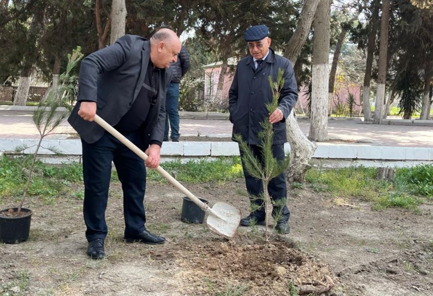 AHİK üzvü “Kənd-Qida-İş” ağacəkmə aksiyası keçirib